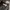 Japanese Brand Trench Coats photo 6