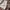 Japanese Brand Trench Coats photo 7