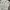 Japanese Brand Trench Coats photo 5