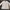 Japanese Brand Trench Coats photo 1