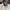 Japanese Brand Trench Coats photo 3