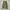Ingni baggy cargo pants photo 8