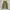 Ingni baggy cargo pants photo 4