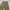Ingni baggy cargo pants photo 5