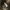Carhartt wip military light padded jacket photo 9