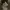 Carhartt wip military light padded jacket photo 8