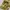 Adam At rope Baggy Cargo camo  photo 7