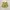 Adam At rope Baggy Cargo camo  photo 8