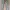PULL AND BEAR CARGO PANTS ORIGINAL photo 1