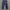 LEVIS 511 LONG PANTS DENIM STRECH  photo 3