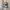 Salomon XT Gore Tex photo 1