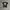 BABY MILO X CHOCOLATE SKATEBOARD SIZE L