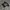 V LONE SIZE XL photo 2