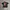 V LONE SIZE XL photo 4