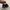 VANS Streetwear Skater Sneakers Wanita black photo 5
