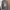 Vintage Streetwear Fleece Pria gray photo 1