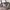 Coach Mini Bennet Satchel in Signature Canvas photo 4