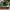Air Jordan Pine Green High photo 4