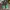 Air Jordan Pine Green High photo 1