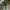 Air Jordan Pine Green High