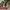 Air Jordan Pine Green High photo 3