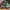 Air Jordan Pine Green High photo 2