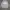 Supreme Streetwear Casual Fleece Pria White Gray