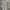 Semantic Design Abstract Floral Shirt photo 6