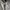 Semantic Design Abstract Floral Shirt photo 4