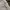 Armani highwaist Jeans White  photo 3