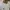 Armani highwaist Jeans White  photo 4