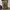 CARGOPANTS TIGERCAMO REALTREE photo 4