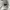 Top  white shein photo 4