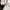 Sportswear Windbreaker Pria white black photo 5