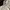 Converse Sportswear Windbreaker Pria gray photo 4