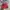 Supreme X Mark Gonzales Camp Hats