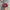 Supreme x Mark Gonzales Camp Hats photo 7