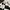 Vintage Y2K Windbreaker Pria white black photo 7