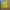 Kaos Natgeo National Geographic Longsleeve photo 3