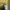 Kaos Natgeo National Geographic Longsleeve photo 5