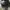 Everlast leather boots photo 3