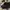 Everlast leather boots photo 2