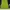 Nepa Outdoor jacket lime green photo 8