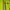 Nepa Outdoor jacket lime green photo 5