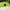 Nepa Outdoor jacket lime green photo 6