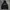 Supra hoodie black independent photo 1