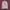 Tracktop nike Manchester united park jsung  photo 2