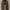 Uniqlo U Baggy Super Wide Pants With Strap photo 3