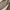 Uniqlo U Baggy Super Wide Pants With Strap photo 7