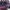 Nike Streetwear Gorpcore Sneakers Pria purple black photo 2